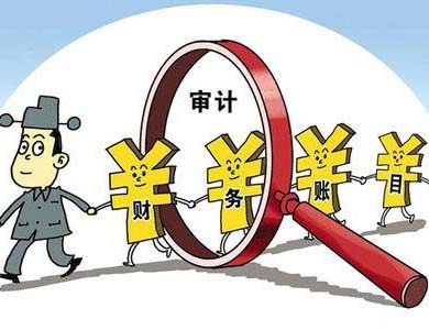 ​【沈阳大东审计公司】公司为什么要专项审计